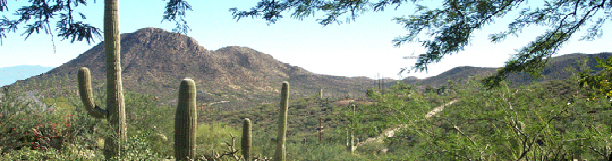 Arizona Family Therapy